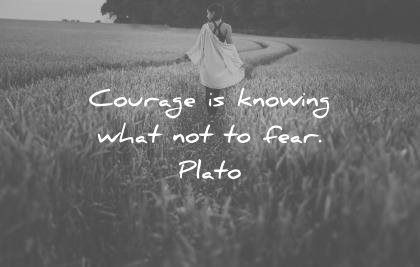 fear quotes courage knowing what wisdom