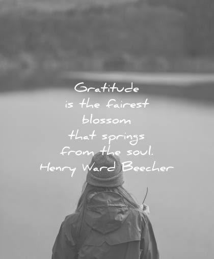 260 Gratitude Quotes That Will Bring You Happiness