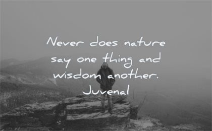 The Best Nature Quotes Here Are 450 Of The Most Beautiful