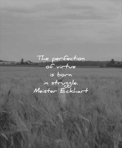 never give up quotes perfection virtue born struggle meister eckhart wisdom hand fields nature