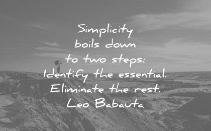 simplicity-quotes-simplicity-boils-down-to-two-steps-identify-the-essential-eliminate-the-rest-leo-babauta-wisdom-quotes.jpg