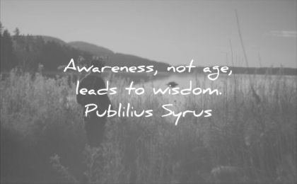 wise quotes awareness not age leads wisdom publilius syrus man water fields sun sunset nature